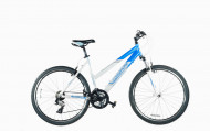 Велосипед Comanche Prairie Comp L 19